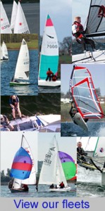 A link to the Fleet pages